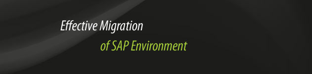 Effective Migration of SAP Environment