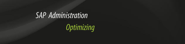 SAP Administration Optimizing