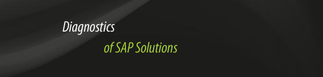 Diagnostic of SAP Solution