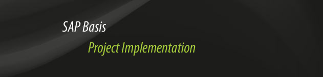 SAP Basis Project Implementation